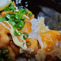 クックDUL9C7☆'s cooksnap of when they made 10分で簡単　照り焼き丼.