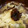しんにし's cooksnap of when they made 卵と木耳の中華スープ！.