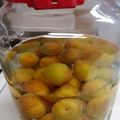 りんばたまま's cooksnap of when they made 黄金比☆美味しい梅酒の作り方.