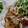 りんばたまま's cooksnap of when they made 初めてでも簡単♪やわらか〜い豚の生姜焼き.
