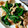 ＊キーツニャン＊'s cooksnap of when they made 簡単♪青菜と豚肉のオイスターソース炒め.
