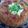 水希tiro's cooksnap of when they made 残りご飯を暈増しお釜でライスケーキ.