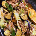 なぎさ107☆'s cooksnap of when they made 挽き肉と茄子の回鍋肉.