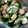 サボテンママコ's cooksnap of when they made 簡単！きゅうりとほたての酢の物☆.