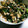 オヤジばばぁ's cooksnap of when they made オクラととりささみの梅肉シソ和え.