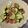 te_sanae's cooksnap of when they made 簡単☆ズッキーニとウインナー炒め.