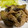 オキラックマ's cooksnap of when they made なすの豚みそ炒め.