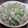 青汁ピンコ's cooksnap of when they made 山菜ミズ＊アイコ♪ツナマヨ和え♪.