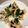 すけらっちょ's cooksnap of when they made ほうれん草と豚肉のオイスターソース炒め.