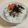 papikun's cooksnap of when they made めんたいホットミルクかけごはん.