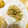 ＊実月＊'s cooksnap of when they made ルクエで★学校給食の切干大根のあえもの.