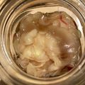 izoom's cooksnap of when they made 新生姜の甘酢漬け.