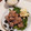 チコリママ's cooksnap of when they made 大根おろしでさっぱり！豚肉の塩焼き.