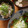 兼業主婦's cooksnap of when they made 簡単おつまみ！ネギとじゃこだけ〜♪.