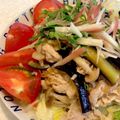 もちこずくっきんぐ's cooksnap of when they made レンジ蒸しなすと豚しゃぶのさっぱりサラダ.