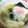 ユーロン's cooksnap of when they made サッポロ一番韓国のりチーズ塩ラーメン.