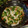 アケミん's cooksnap of when they made 簡単おつまみ♪おくらとイカの和え物.