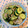 ドナテラ's cooksnap of when they made きゅうりと豚バラの中華炒め.