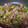 hirokky56's cooksnap of when they made 簡単牛肉とピーマンのオイスターソース炒め.