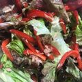 きなりん＊'s cooksnap of when they made パプリカと新玉ねぎのツナ入りマリネ♪.