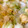 ちぃぱっぱ0330's cooksnap of when they made きゃべつとたまごの中華炒め.