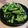 ｶｯﾊﾟ。's cooksnap of when they made ♪枝豆のガーリック炒め♪~つまみ17~.