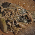 kosiro's cooksnap of when they made 助宗鱈とシメジの煮漬け.