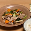 カメジャパン's cooksnap of when they made 豚肉と青梗菜☆ネギ塩炒め.