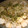 ぴーたー's cooksnap of when they made ✿はんぺんともやしの❀あっさり和風和え✿.