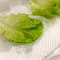 ふたごママちゃん's cooksnap of when they made 【便利】フリルレタスの保存☆.