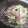 xxこのみxx's cooksnap of when they made 筍とハムのマヨサラダ.