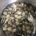 二ミたん's cooksnap of when they made あさりの砂抜き 覚え書き.