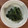 クック1FX93J☆'s cooksnap of when they made ほうれん草の生姜ごま和え【作り置き】.