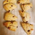 Machib92's cooksnap of when they made 朝食☆おやつ！チョコ･バナナスコーン♪.