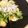 もぐドン's cooksnap of when they made なすと水菜しらすの　コクうまポン酢かけ.