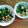 ２４なるるん's cooksnap of when they made ほうれん草&ウインナーのバターソテー.