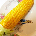 中島マリオ's cooksnap of when they made レンジで♪とうもろこしの簡単なゆで方.