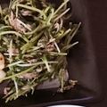 Milly♡'s cooksnap of when they made 豆苗とツナと塩昆布の和えたん.