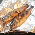 えりぺこ's cooksnap of when they made ニジマスの塩焼き.