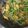 クックプ～'s cooksnap of when they made 豆苗たまご春色温サラダ.