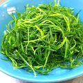 ターぽん's cooksnap of when they made ☼しゃっきり♪おかひじきの辛子醤油和え.