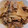 さくさくいずず's cooksnap of when they made 大根と豚こま肉のオイスターソース炒め.