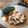 ロミまろ's cooksnap of when they made 豚バラの生姜焼き.