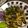 ローズマリーママ♪♪'s cooksnap of when they made トリュフ塩で♪香りも美味しいきのこソテー.