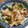 ベイバン's cooksnap of when they made アスパラと長いもの梅みそ和え.