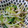 凪なぎ's cooksnap of when they made もやしと三つ葉のさわやかおひたし♪.