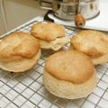 マロハワイ's cooksnap of when they made バターミルクビスケット≦ФωФ≧.