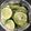 BAL_nabe's cooksnap of when they made 塩すだち.
