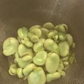 クックN1PP21☆'s cooksnap of when they made 簡単ほくほく♡基本のそらまめの茹で方.