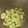クックN1PP21☆'s cooksnap of when they made 簡単ほくほく♡基本のそらまめの茹で方.